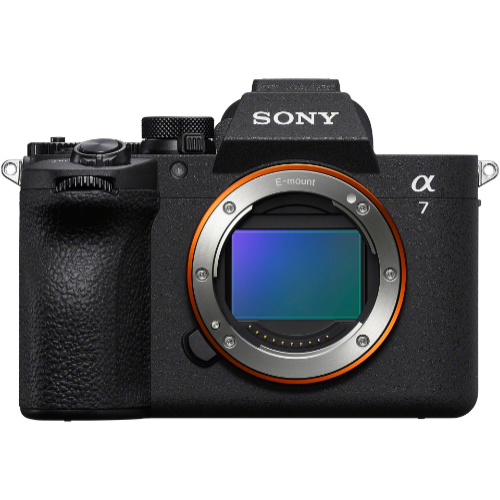 Mirrorless Camera